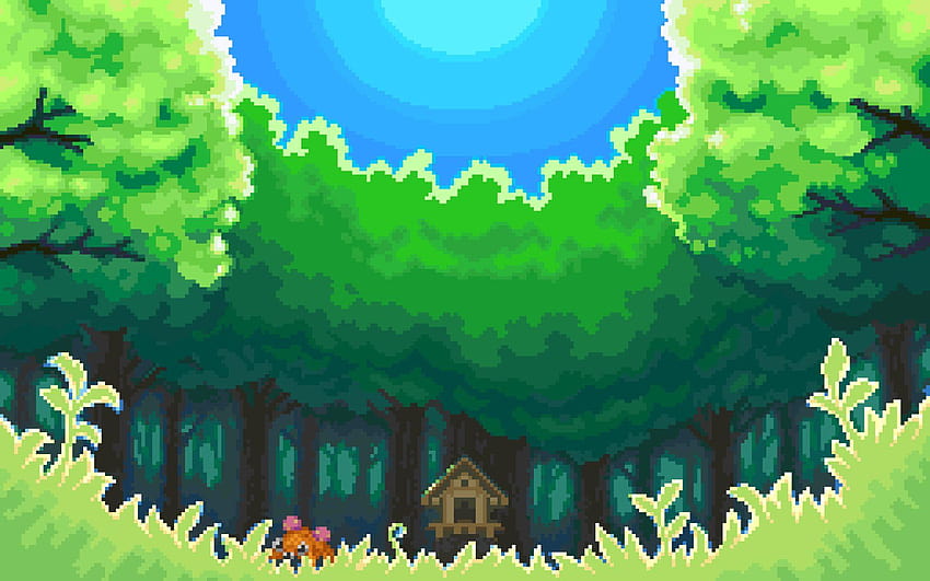 Fundos de Floresta Pokémon ·①, fundo de Pokémon papel de parede HD