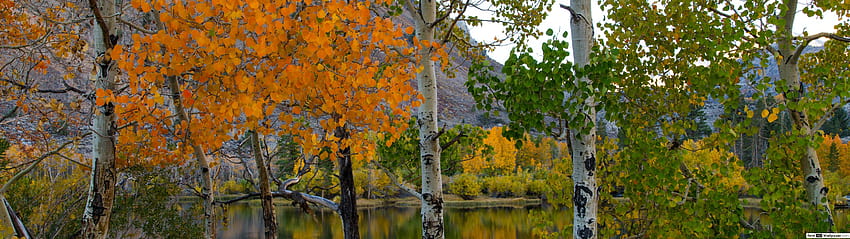 Herbstsaison, 5120x1440 Herbst HD-Hintergrundbild