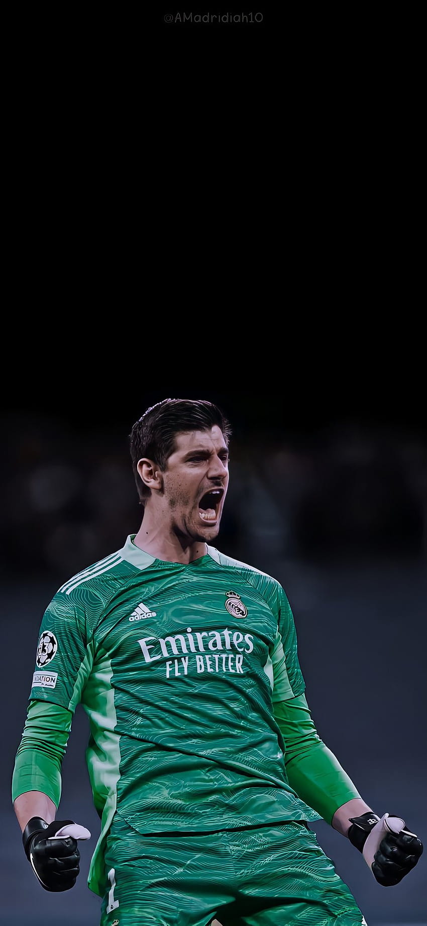 Courtois worlds best  will shatter records at Real Madrid  Belgium boss  talks up Blancos keeper thibaut courtois real madrid HD wallpaper  Pxfuel
