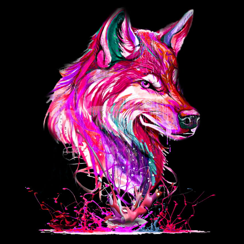 Green and Pink Wolf HD phone wallpaper