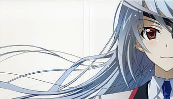 infinite stratos laura bed