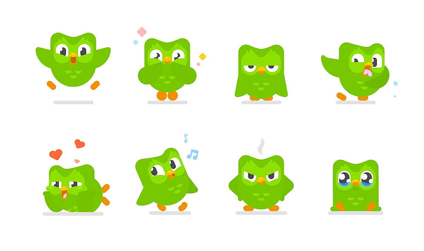 Duolingo redesigned its owl to guilt, duolingo meme HD wallpaper