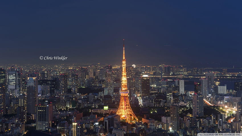 도쿄 타워 3 HD 월페이퍼