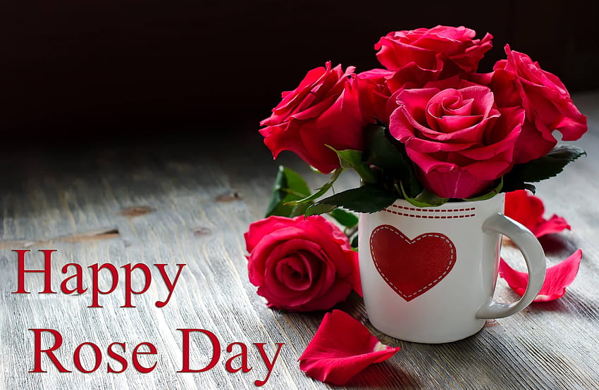 Happy Rose Day Wishes ..., rose propose HD wallpaper