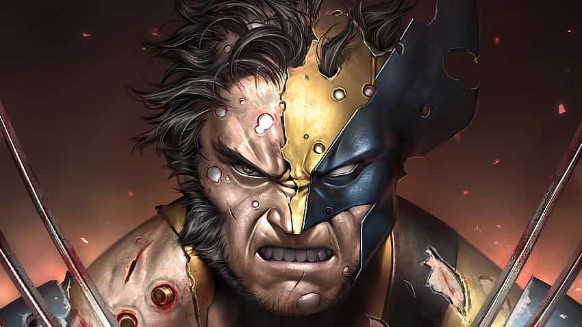 No Caption Provided - Marvel Anime X Men Wolverine - Free Transparent PNG  Download - PNGkey