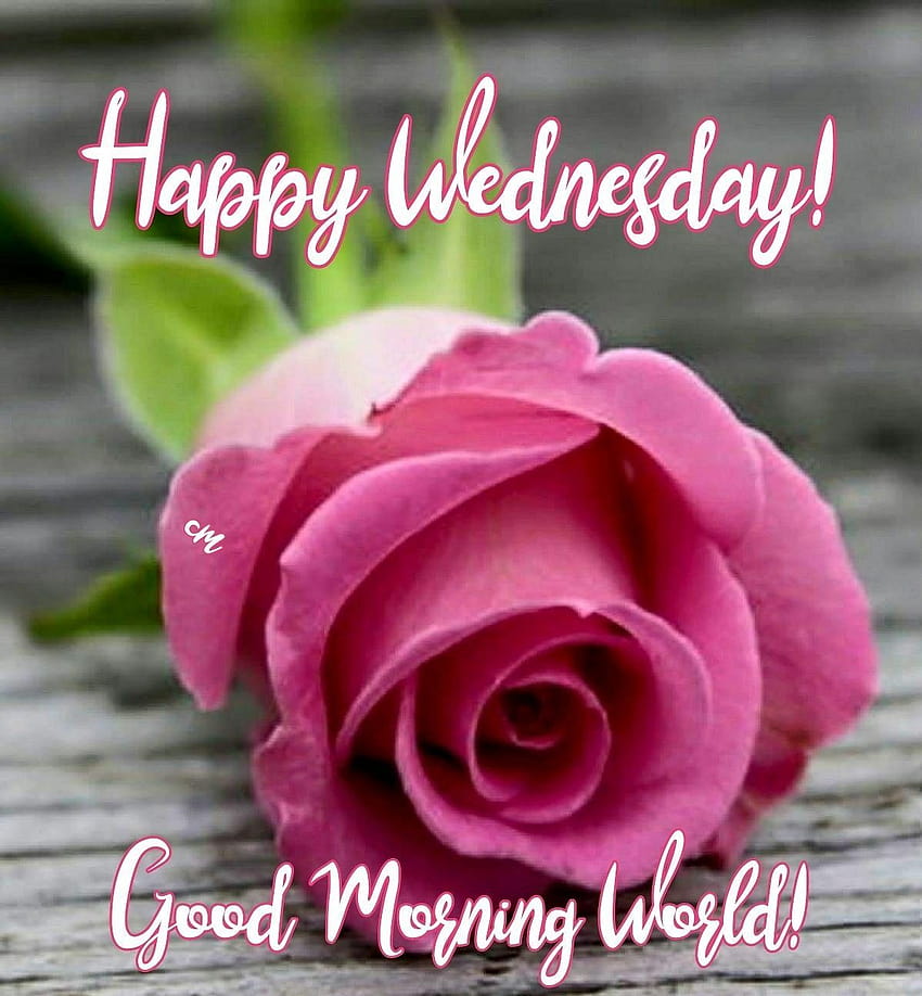 Happy Wednesday! Good Morning World HD phone wallpaper
