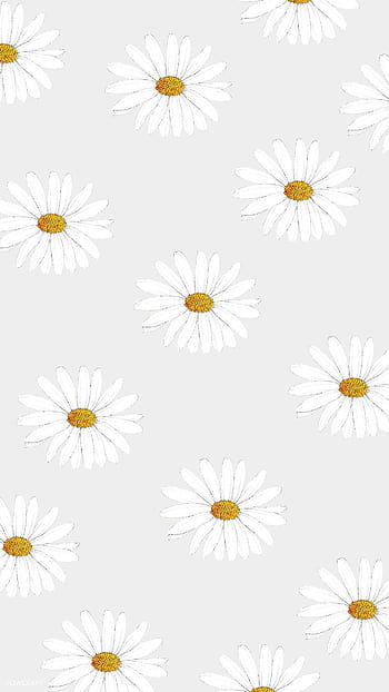 Pastel Cute Daisy Wallpapers Images  Free Download on Freepik