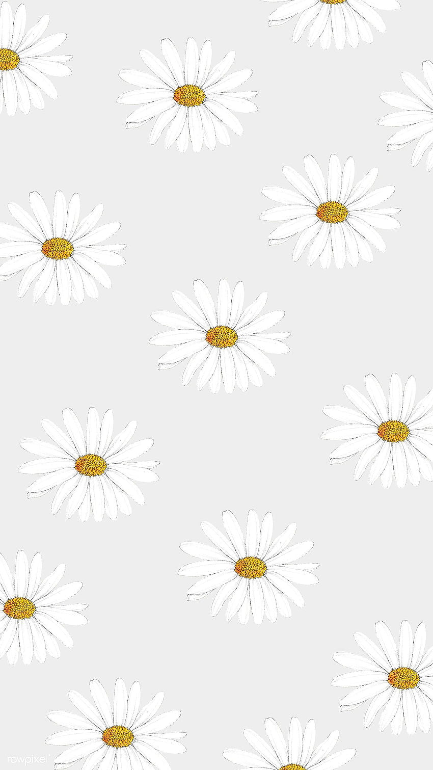 Daisy duvar, daisy aesthetic HD phone wallpaper