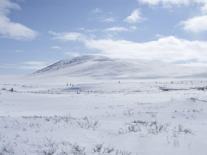 TJ Crooks on Winter Settings, arctic tundra HD wallpaper