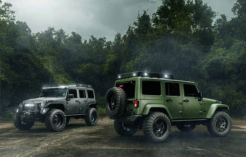 Cars, Green, Black, Rain, Wrangler, Jeep, Off Road , section jeep, off road jeep HD wallpaper