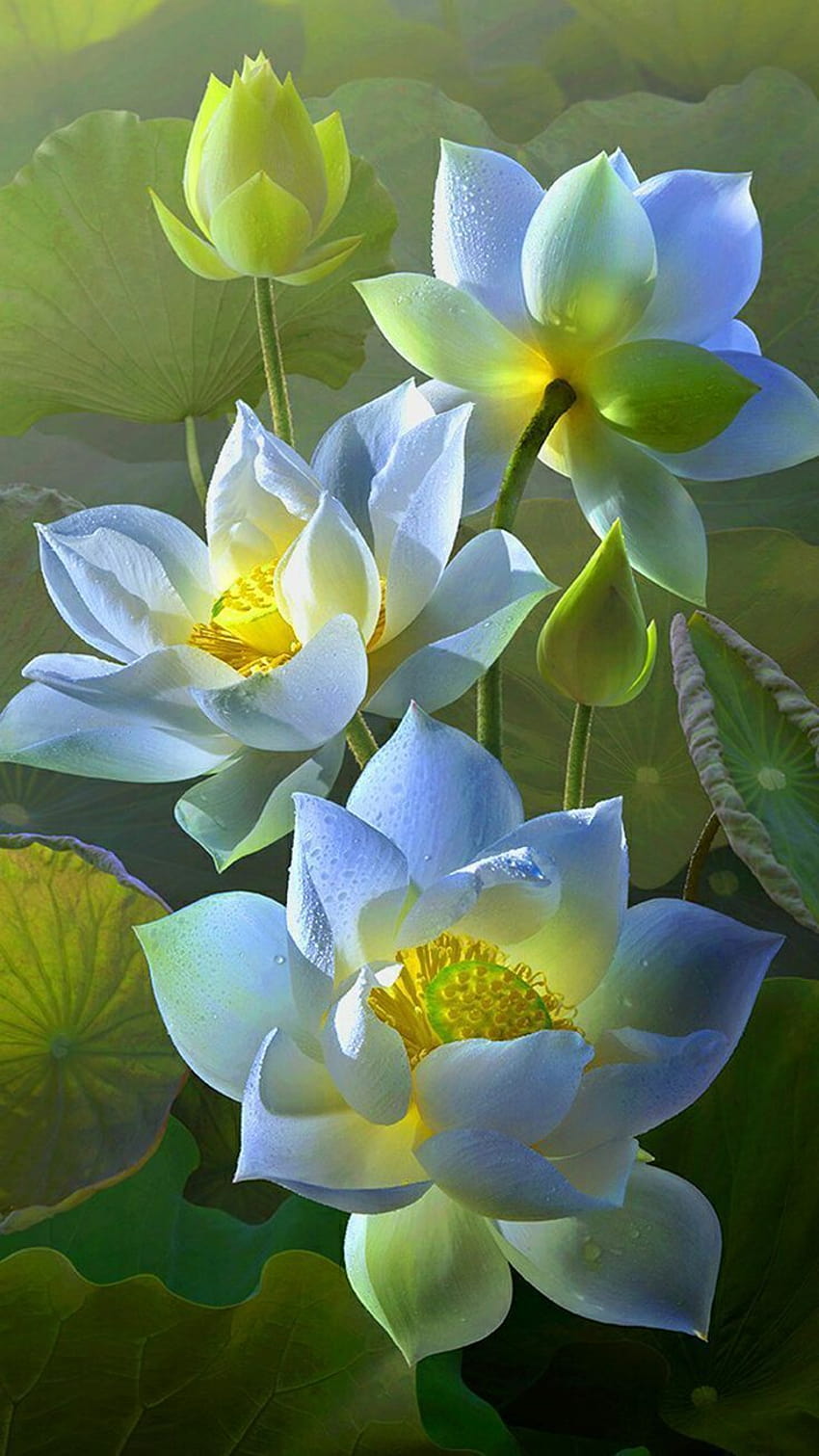 Fiore di loto per sfondi Samsung Galaxy J7 Prime – M, loto verde Sfondo del telefono HD