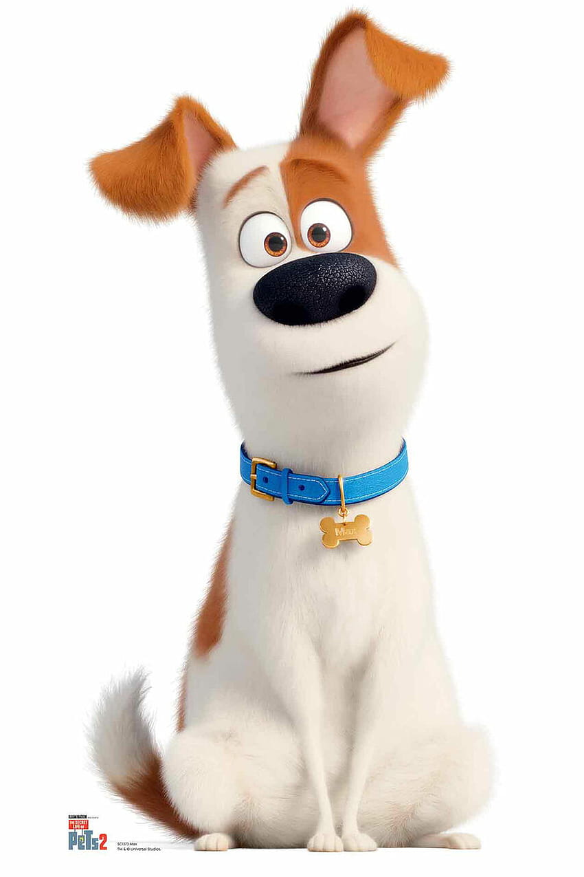 Max from The Secret Life Of Pets 2 Cardboard Cutout / Standup, the secret life of pets 2 max HD phone wallpaper