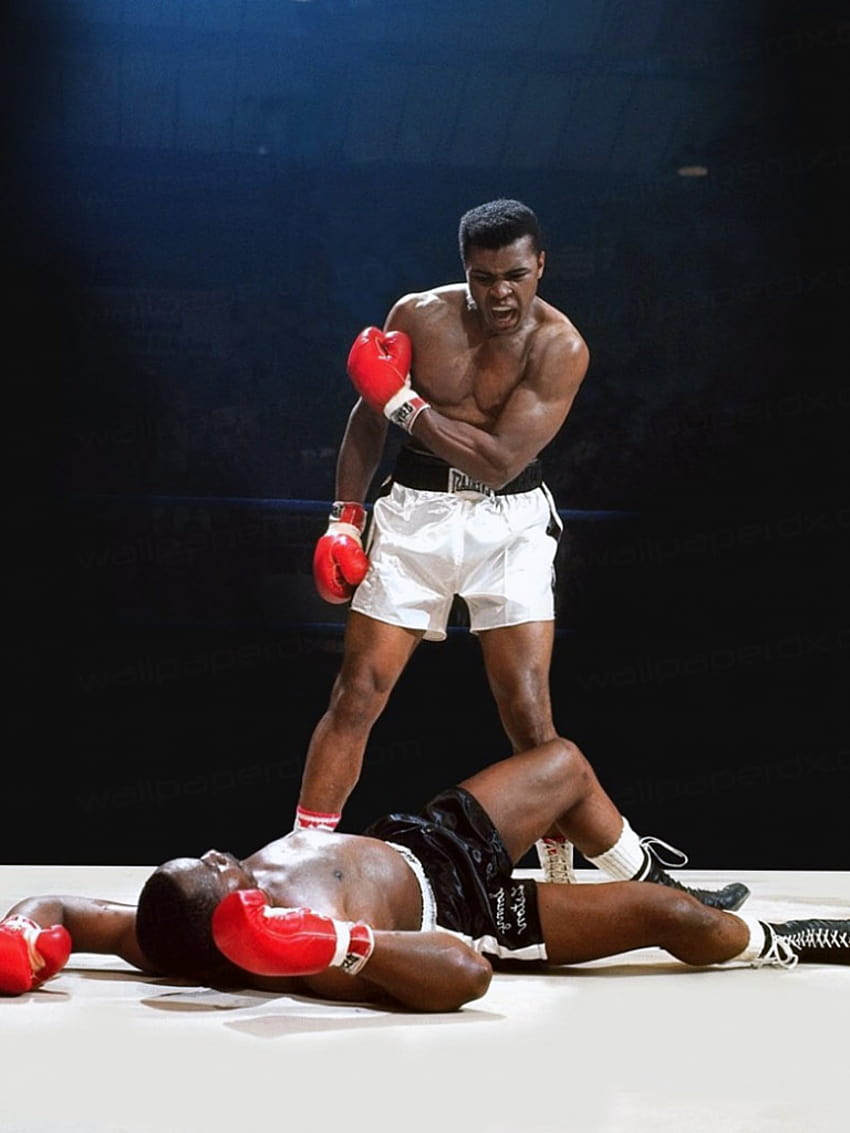 Muhammad Ali Amazing Muhammad [1654x1040] for your , Mobile & Tablet, cassius clay HD phone wallpaper