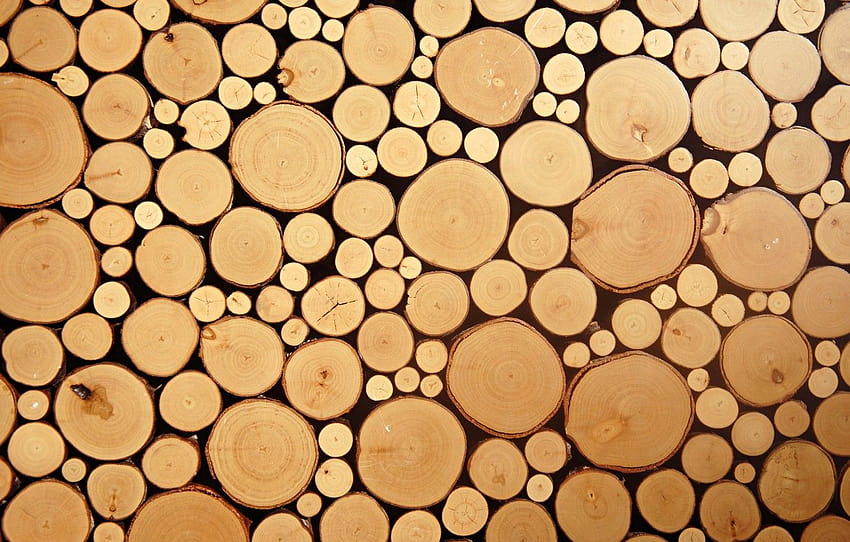 wood, circles, cut logs , section текстуры, wood logs HD wallpaper
