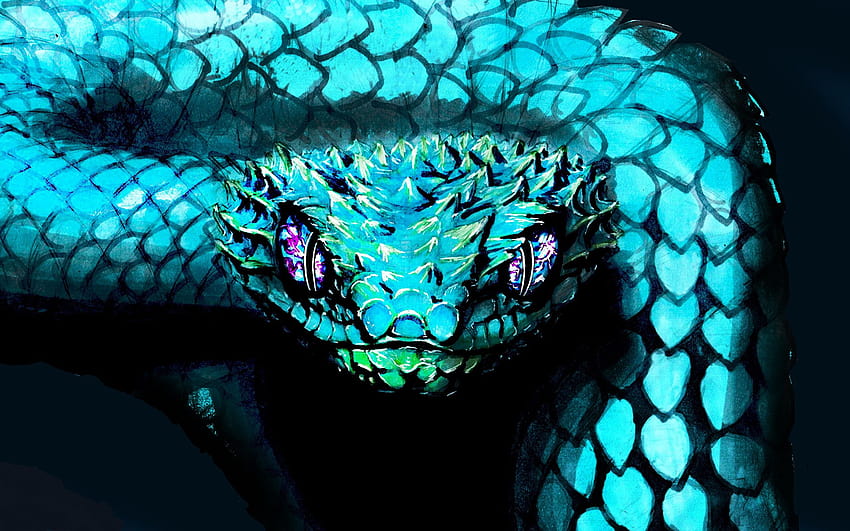 Blue Snake, blue pit viper HD wallpaper