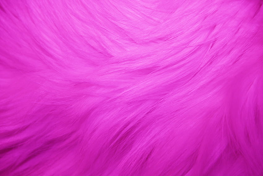 Tekstur Bulu Merah Muda Panas, bulu Wallpaper HD