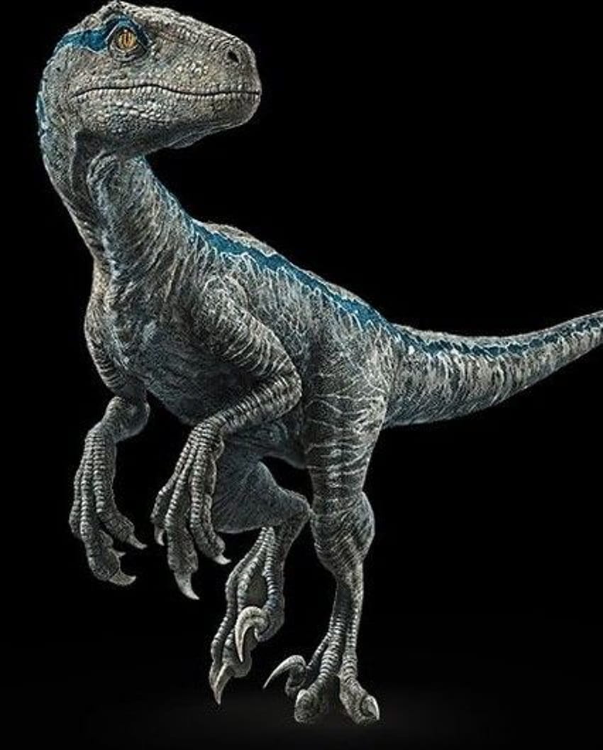 Jurassic World Raptors & Others panosundaki Pin, blue the raptor HD telefon duvar kağıdı