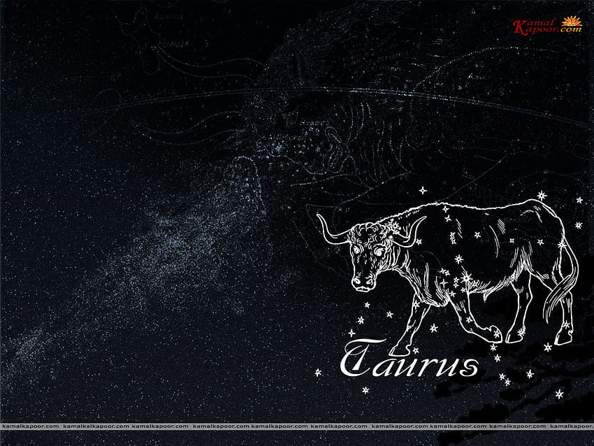 taurus 1080P 2k 4k Full HD Wallpapers Backgrounds Free Download   Wallpaper Crafter