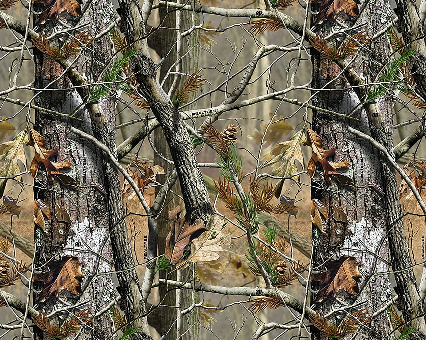 Les 4 meilleurs bois durs Realtree sur la hanche, camouflage d'arbre Fond d'écran HD