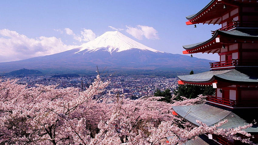Japão, monte Fuji, flores de cerejeira, Chureito Pagoda :: papel de parede HD