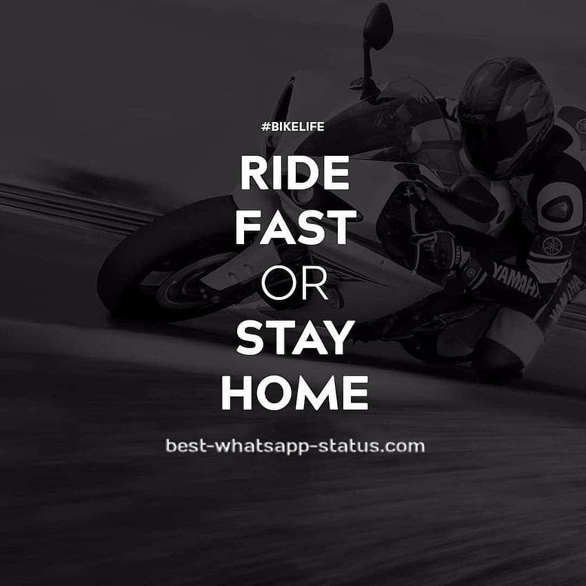 100+} Best Quotes for Bike Lovers, bike quotes HD phone wallpaper