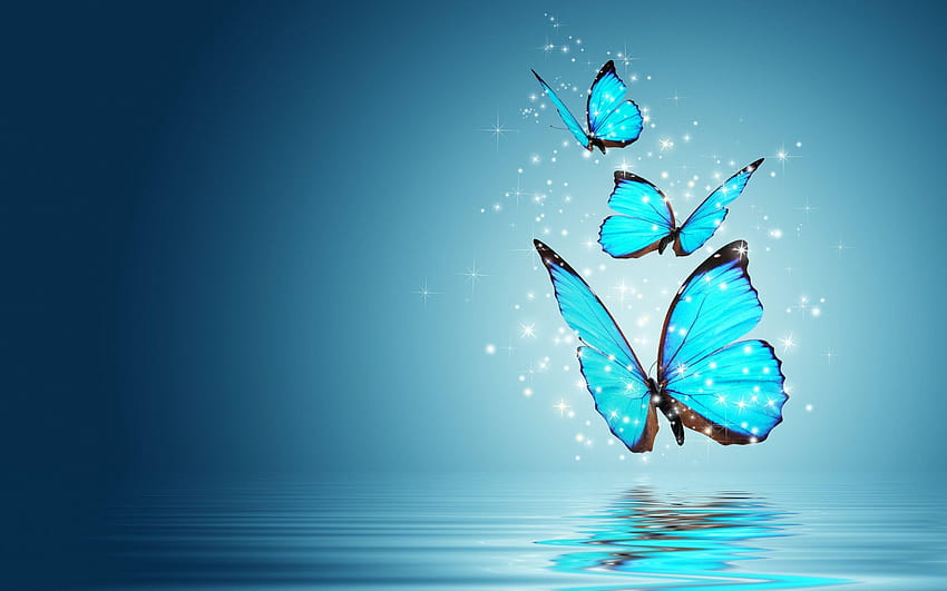Blue Morpho Butterfly 20748 HD wallpaper