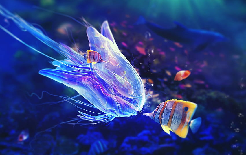 Ocean Life 물고기 – 정밀하고 생생한 해양 생물 HD 월페이퍼