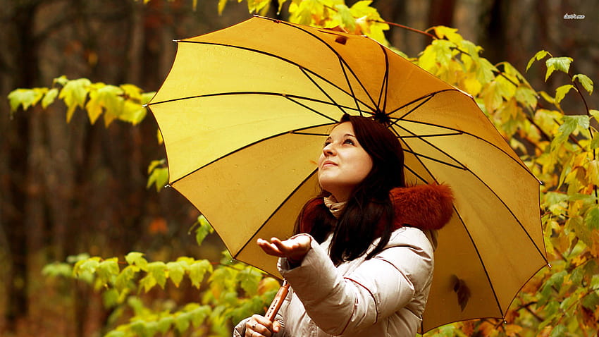 Girl With Yellow Umbrella Under Autumn Rain Mix [1920x1080] for your , Mobile & Tablet, umbrella autumn HD wallpaper