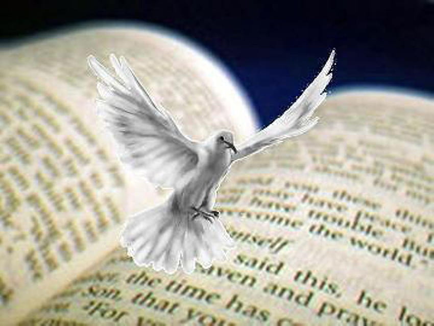 Holy Spirit With Bible, holy ghost HD wallpaper