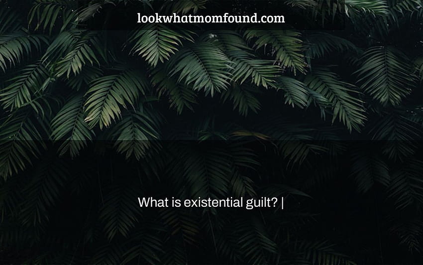 What is existential guilt? HD wallpaper