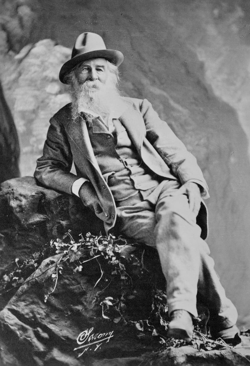 Found: Walt Whitman's Guide to 'Manly Health' HD phone wallpaper