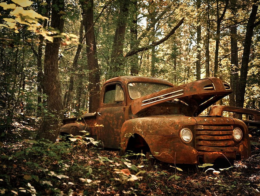 : forest, white, old, city, car, abandoned, wood, mud, rust, dirt, vintage, wilderness, bucket, Ford, decay, Georgia, nostalgic, Truck, Jeep, rural, light, pickup, rusty, tree, autumn, junkyard, county, the, woods, roads HD wallpaper