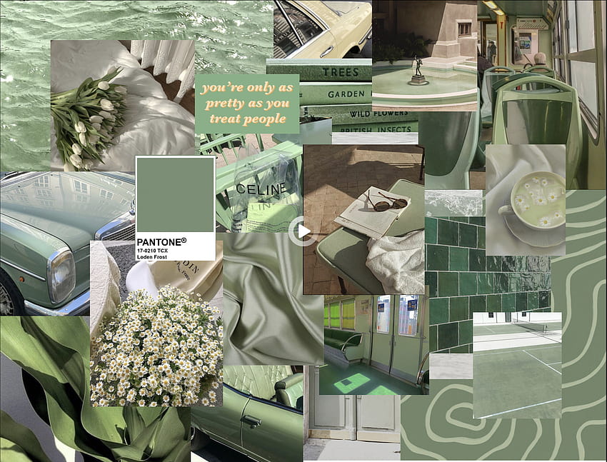 ボード「Tatouage in 2021, sage green collage」のピン 高画質の壁紙