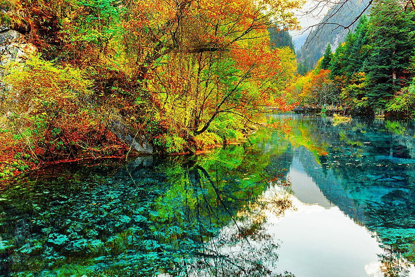 Jiuzhaigou park China Valley Nature Autumn Parks Rivers Trees, jiuzhaigou valley national park HD wallpaper