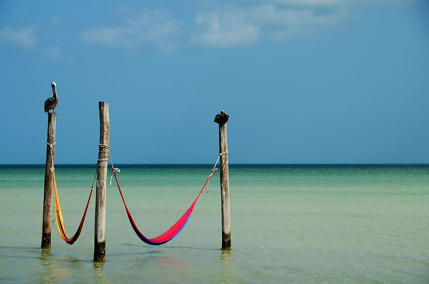 A View of Holbox, Mexico from Bicycle, Hammock, and Private Plunge Pool HD wallpaper