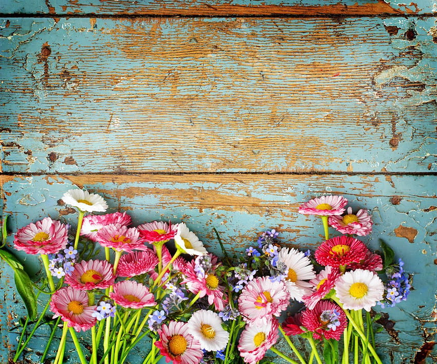 Rustik Çiçekler, rustik bahar HD duvar kağıdı