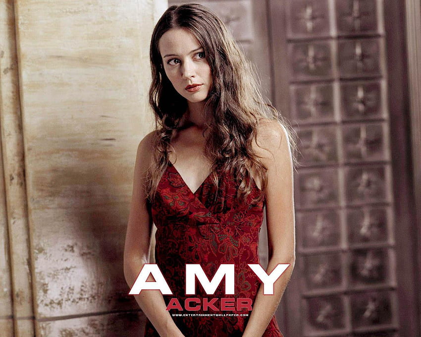 Amy Acker Amy and backgrounds HD wallpaper