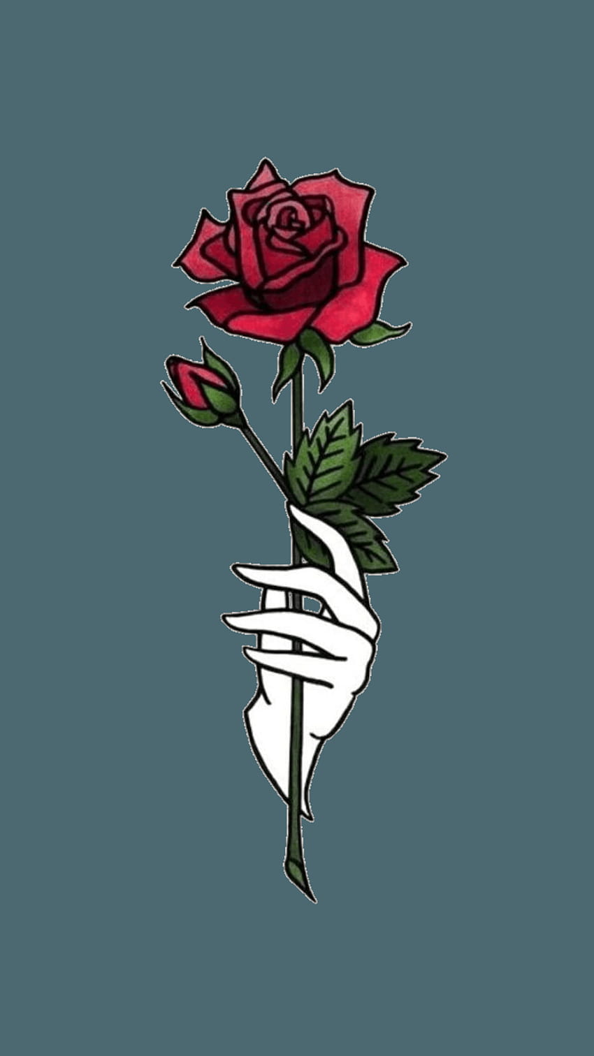 Discover the coolest, aesthetic rose HD phone wallpaper