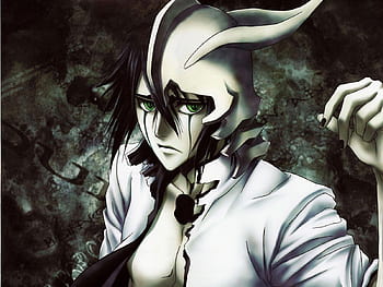 Ulquiorra Cifer, anime, splitting, Bleach, Kurosaki Ichigo, Espada -  wallpaper #63018 (2429x1326px) on