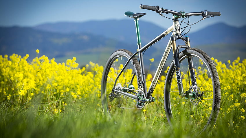 Mountain Bike In The Canola Field ♂, mountainbike HD wallpaper