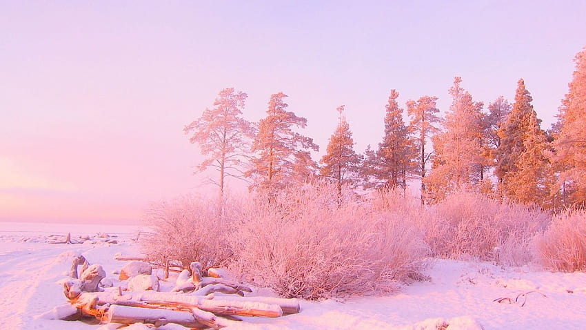 Rosa Landschaft, rosa ästhetische Landschaft HD-Hintergrundbild