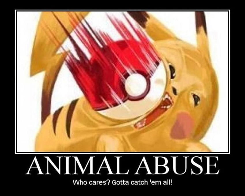 funny pokemon meme, pokemon memes HD wallpaper
