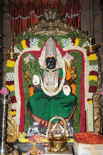 Padmavathi ammavari brahmotsavam | God pictures, Shiva shakti, Shakti