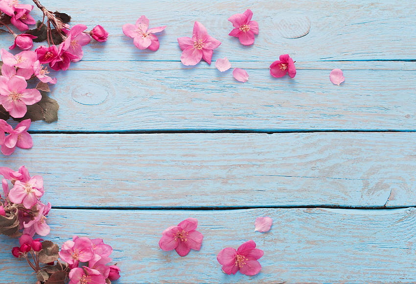Wood Backdrops Wooden Backdrop Blue Backgrounds G, spring flowers on wood HD wallpaper