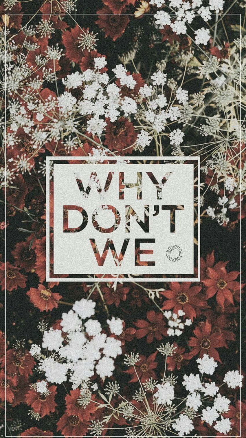 Pin on Why_Don't_We, wdw HD phone wallpaper