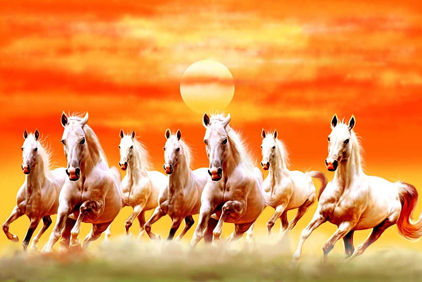 7 つの実行中の馬、7 実行中の馬黒 高画質の壁紙