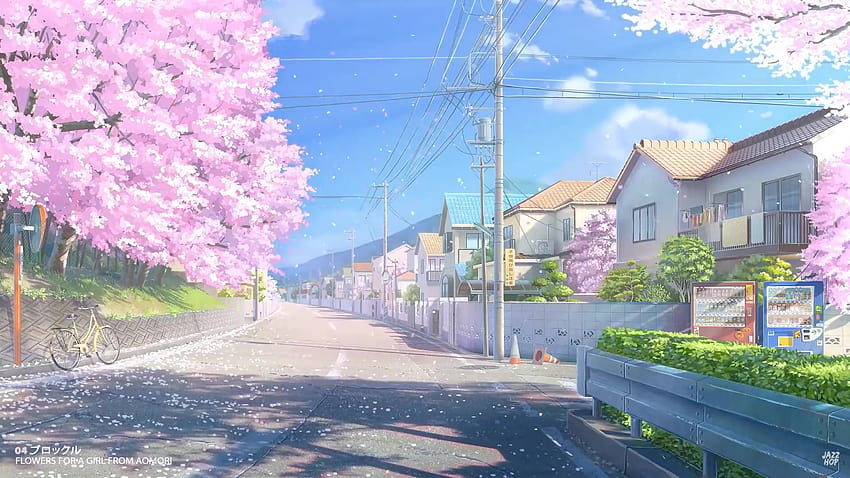 Cherry Blossom in Japan Live, sakura giapponese Sfondo HD