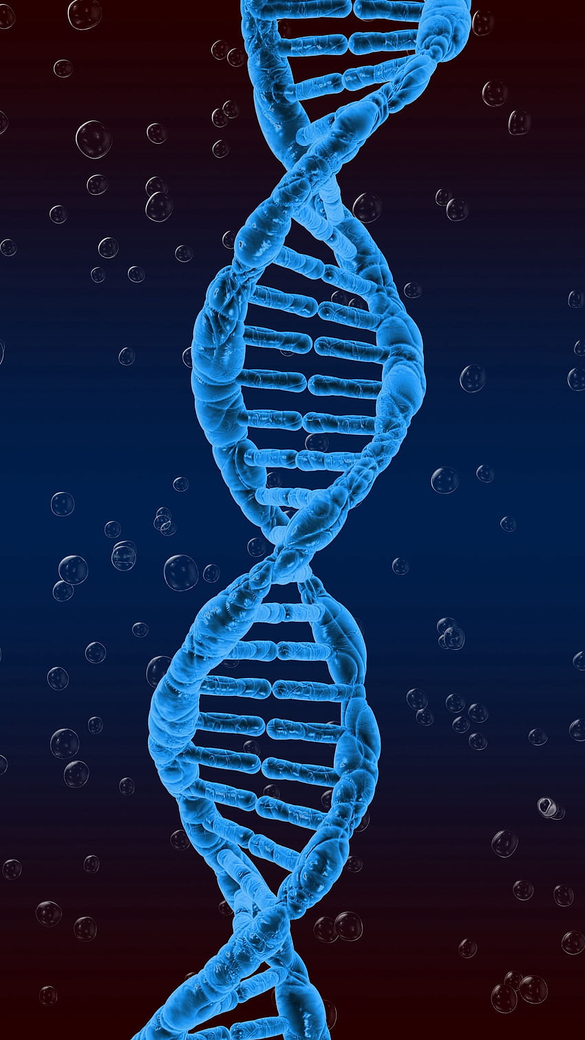 2160x3840 DNA, Spirale, Genetik, verdreht HD-Handy-Hintergrundbild