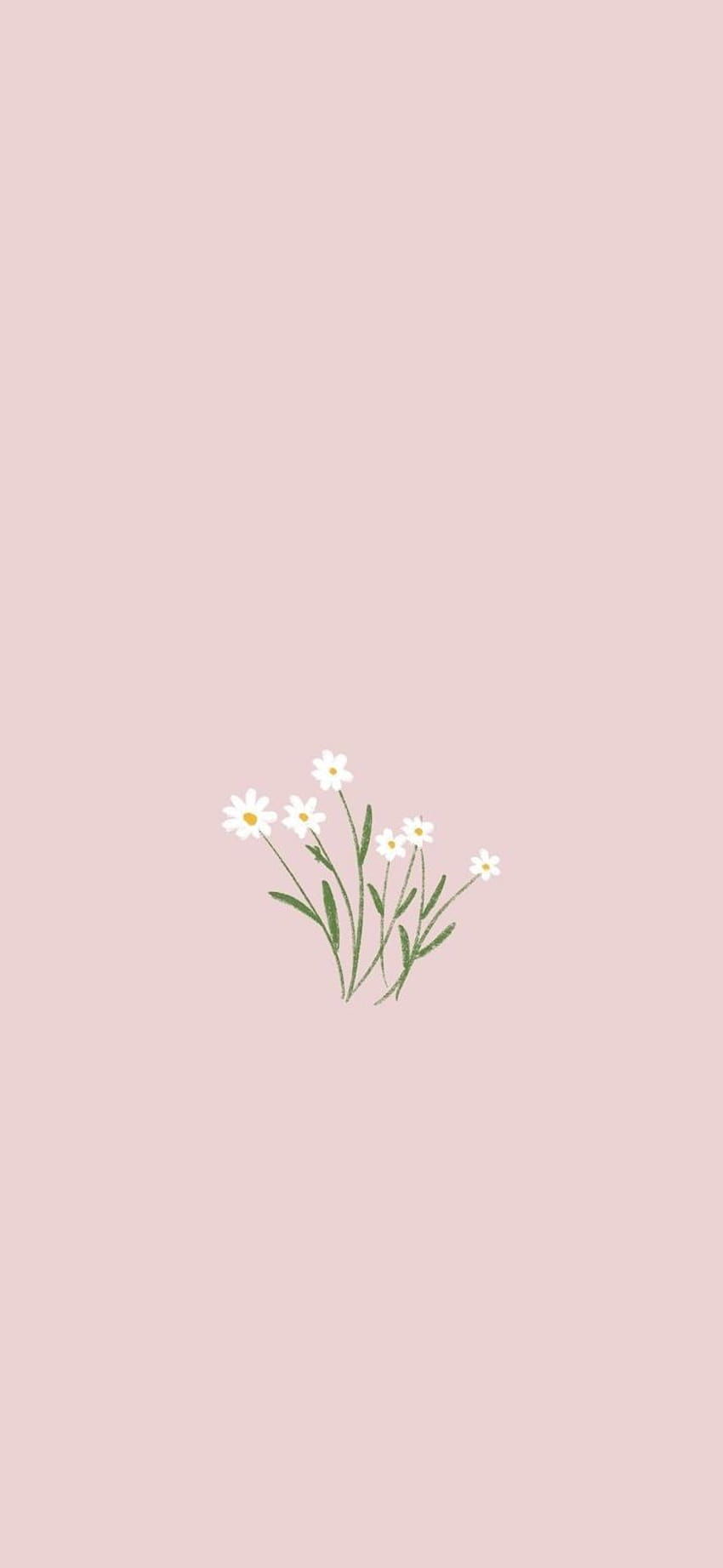 Aesthetic Minimalist  Minimalist  Pink iphone background Pink Art HD  phone wallpaper  Pxfuel