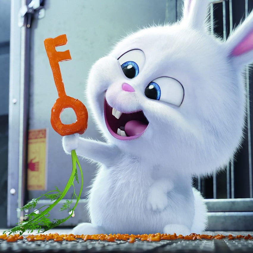 La vie secrète des animaux de compagnie 2016 Rabbit Snowball iPad Fond d'écran de téléphone HD